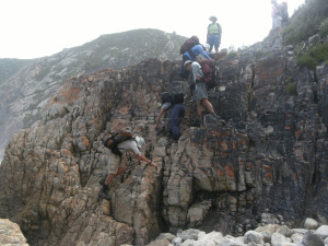 Harkerville7