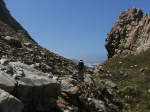 Harkerville9