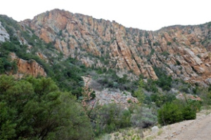 image009