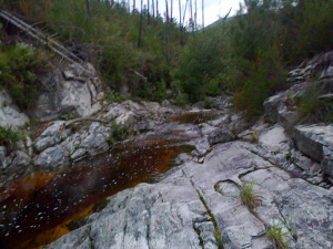 image001