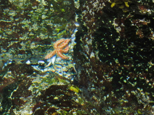 image011