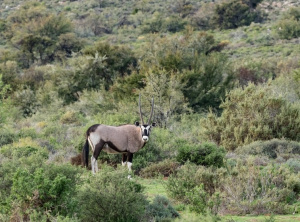 Anysberg10