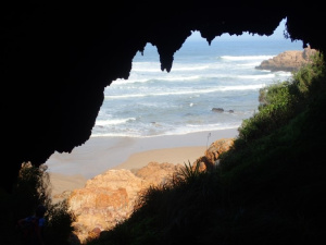 Brenton 5