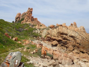 kranshoek7