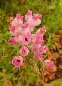 langkloof2