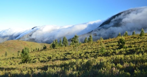 langkloof4