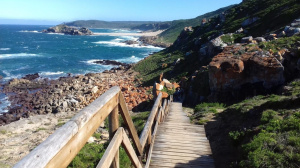 Robberg3