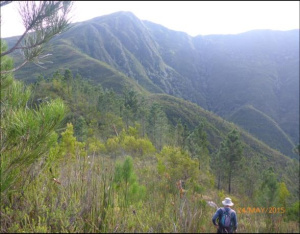 Taitsberg6
